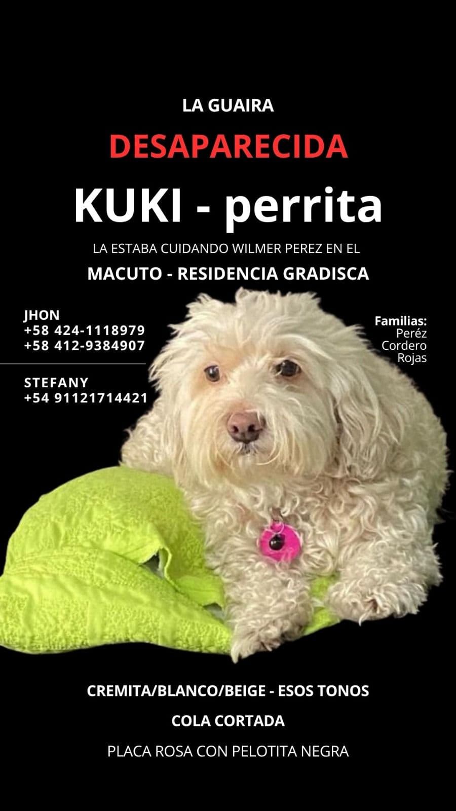 mascota
