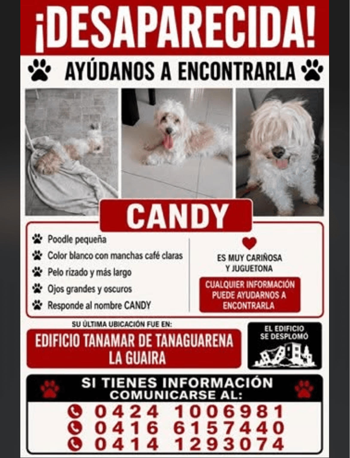 mascota